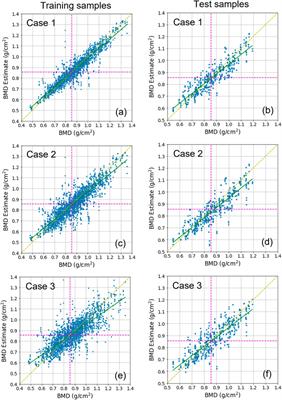 Prediction of bone mineral density in CT using deep learning with explainability